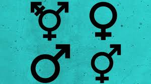 Gender