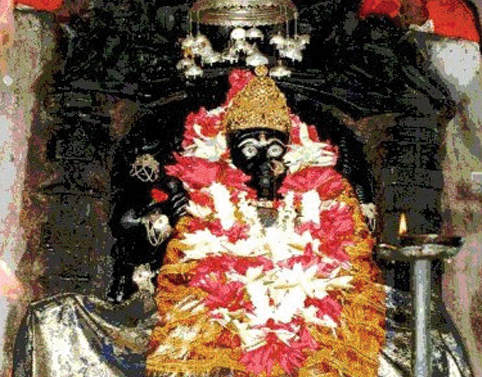 dhanteshwari11