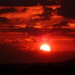 sun e1598372136647 696x517 1