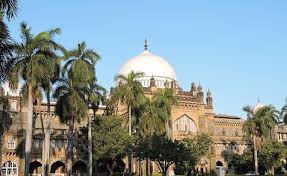 दृश्य-कला का संवेदी अनुभव 3 Museum